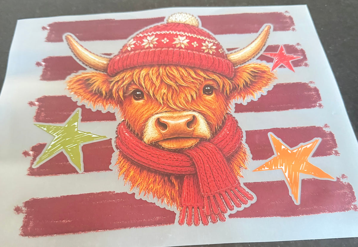 Highland cow with scarf