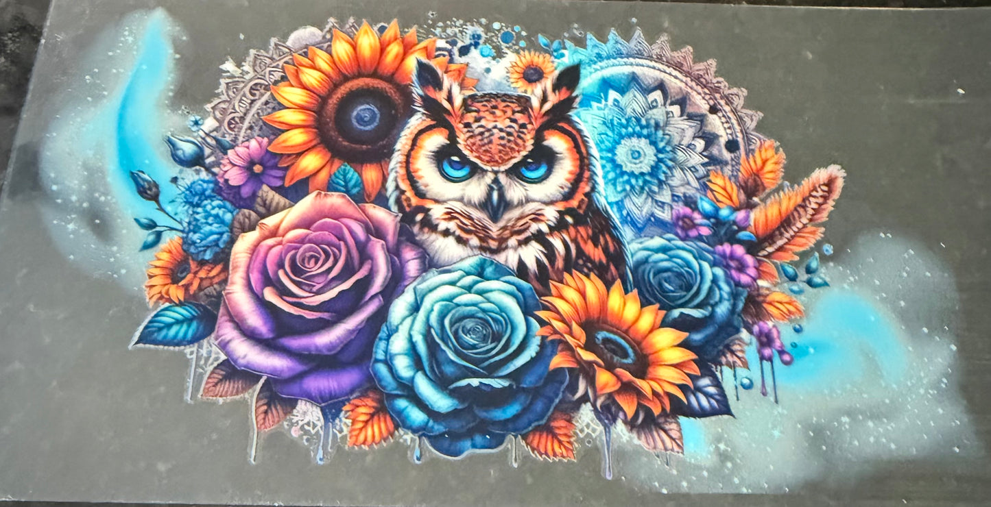 Colorful owl