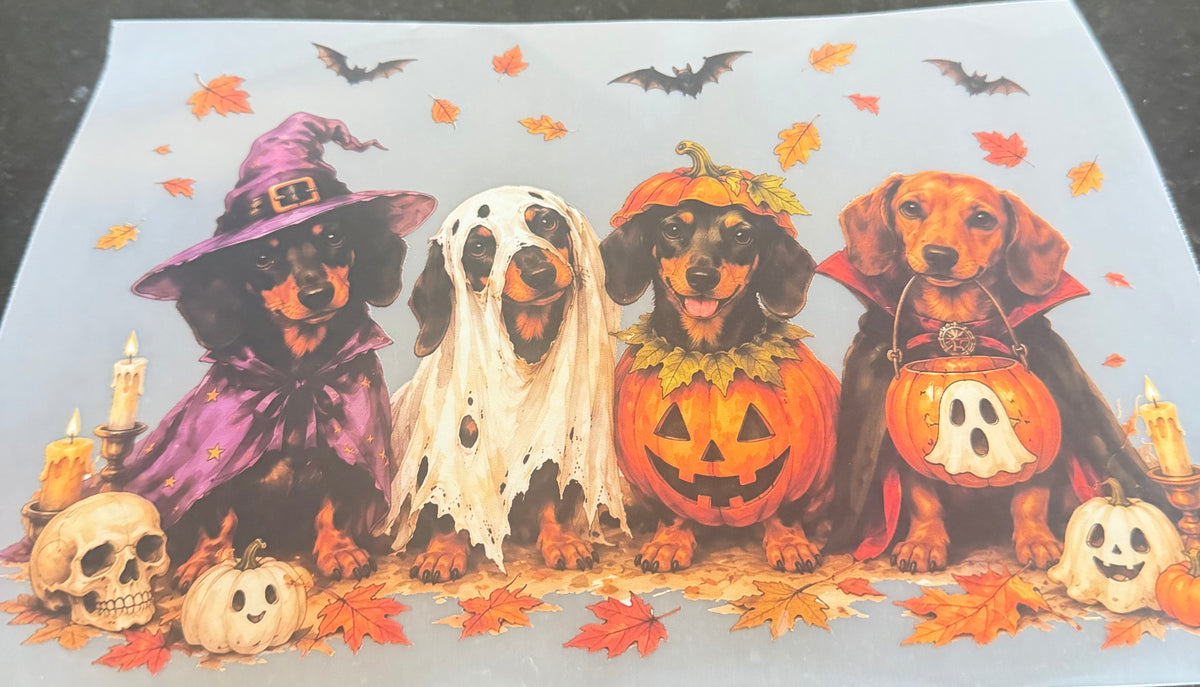 Puppy Halloween