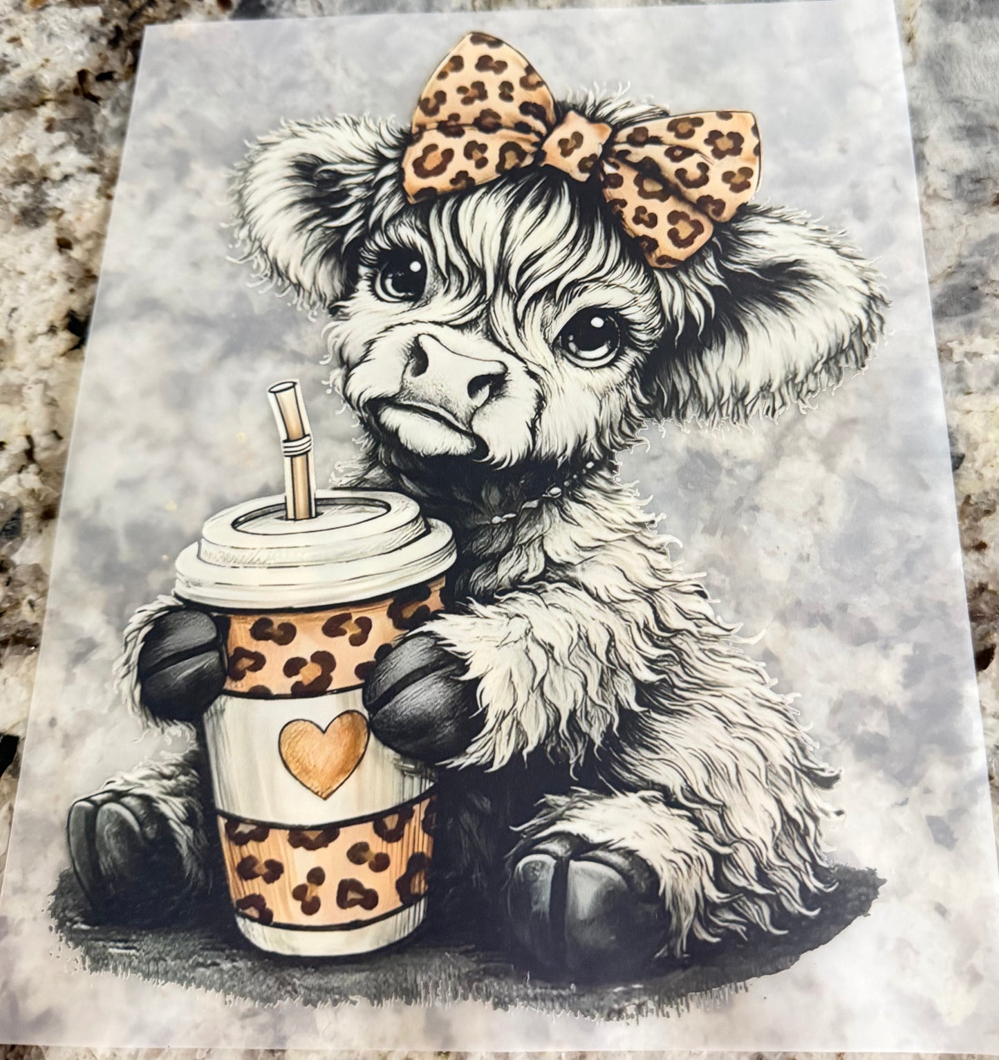 Cheetah cow