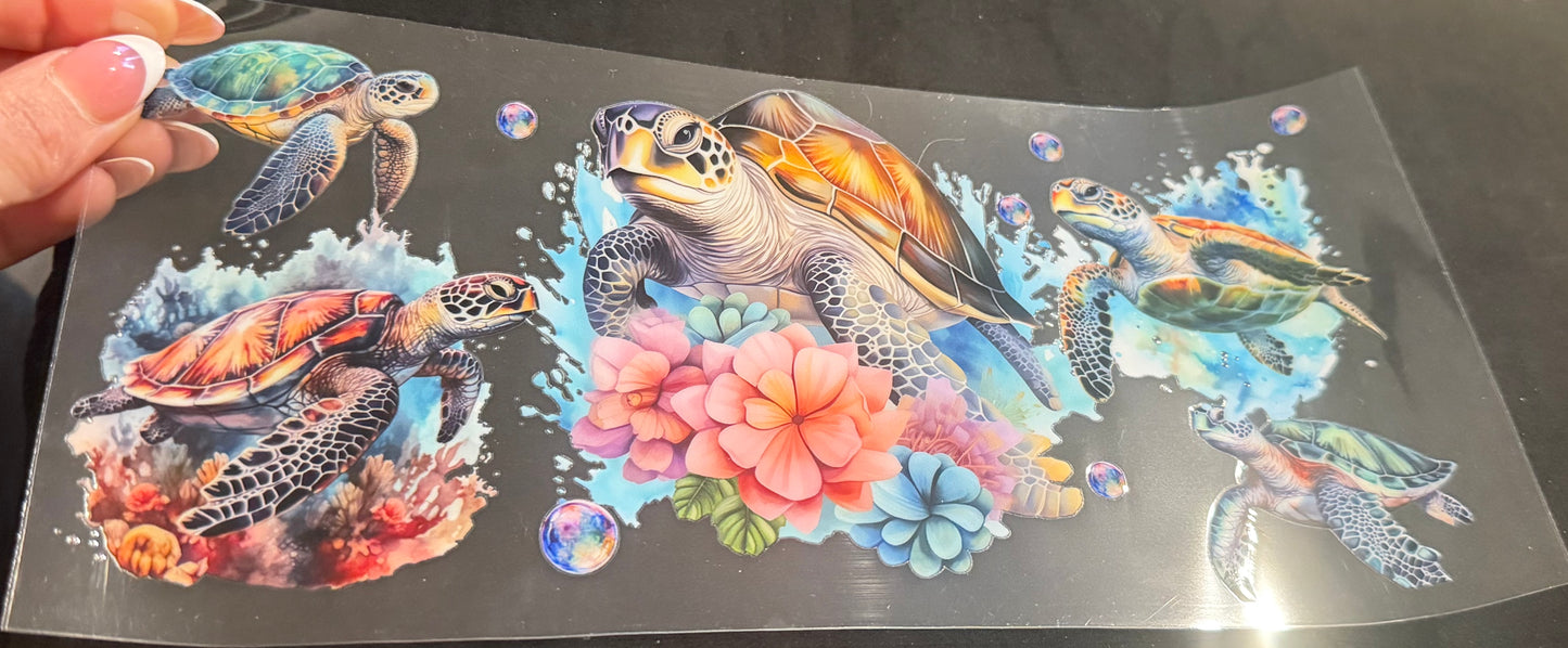 Sea turtle 6
