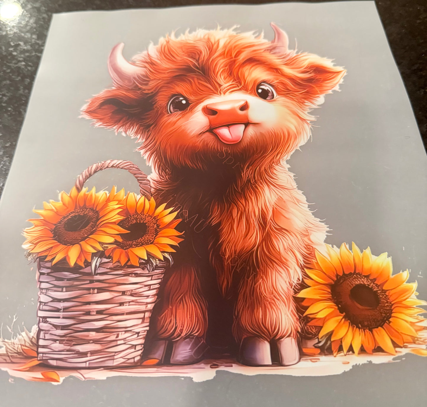 Cow and sunflower