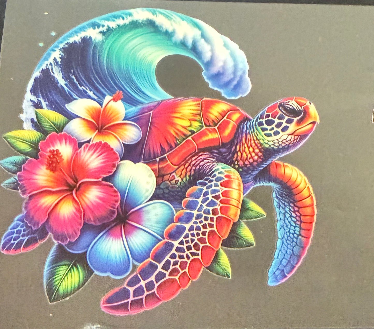 Sea turtle 9