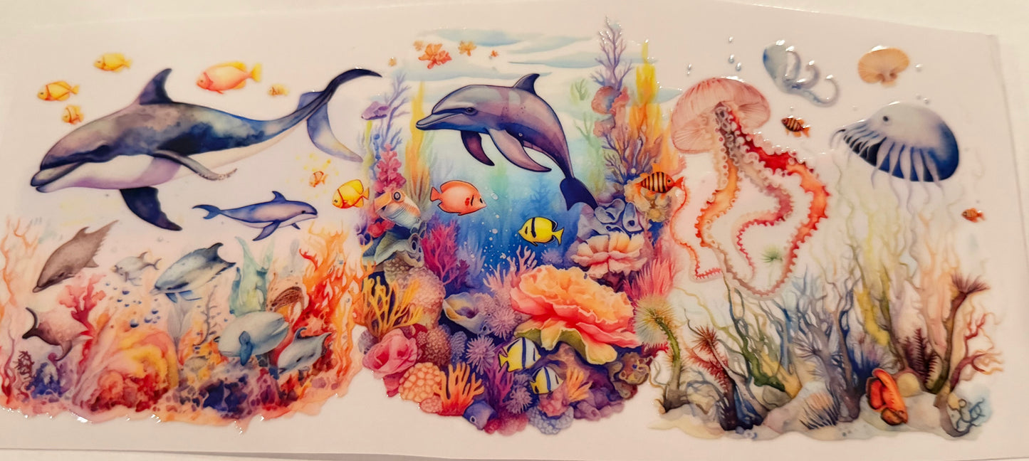 Dolphin 17