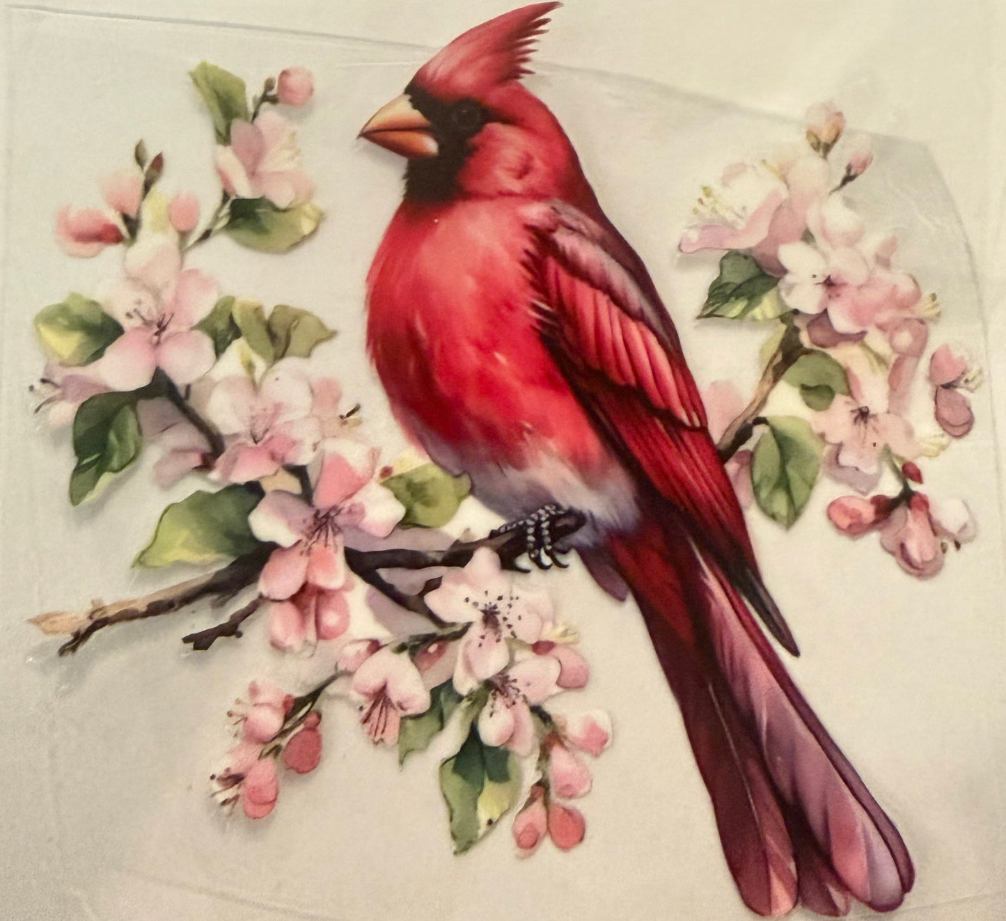 Cardinal 1