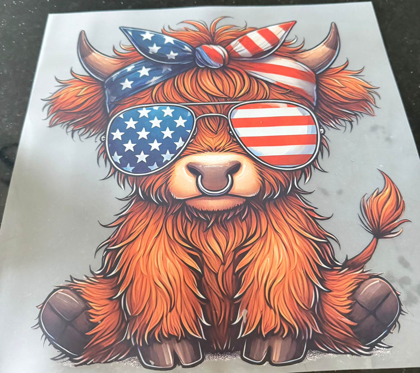 America cow