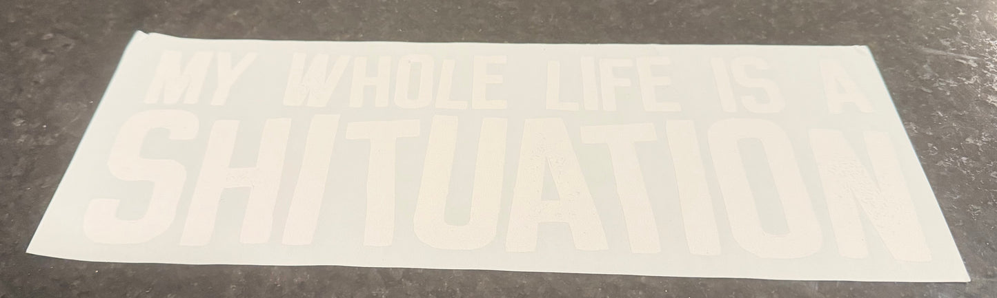 My whole life is a shituation