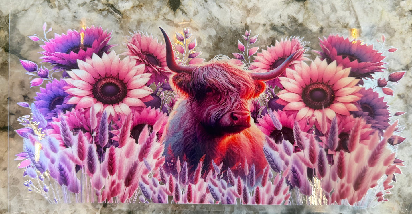 Cow 30