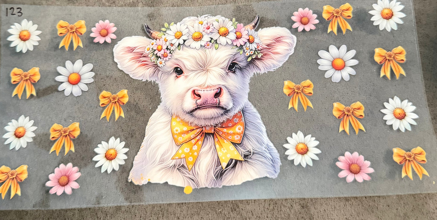 Cow 123
