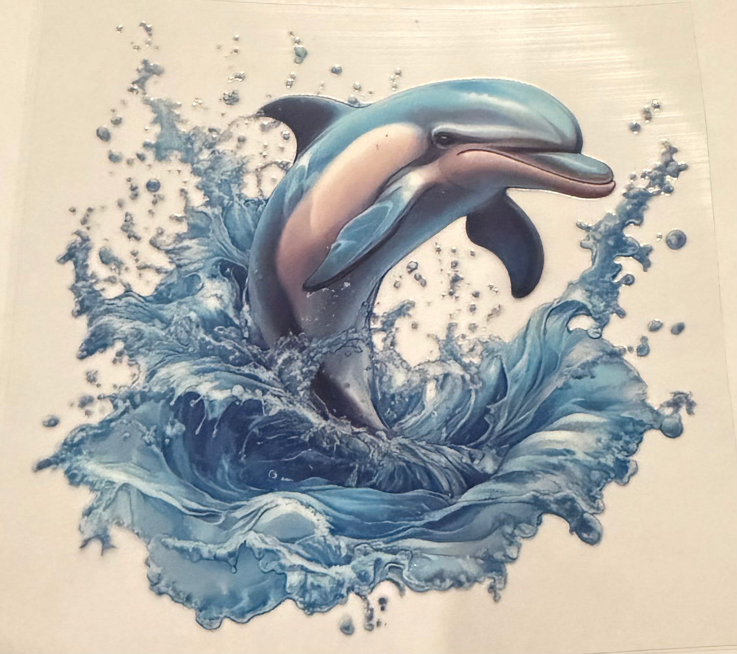 Dolphin 31