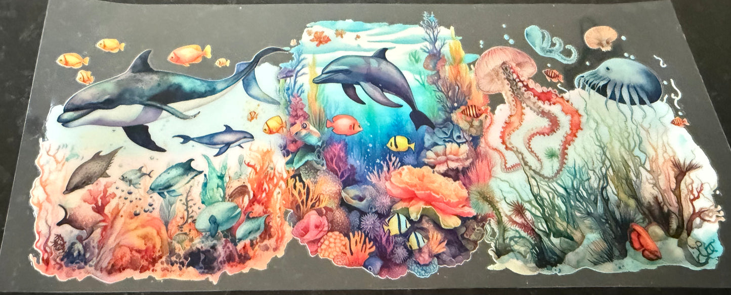 Dolphins sea life