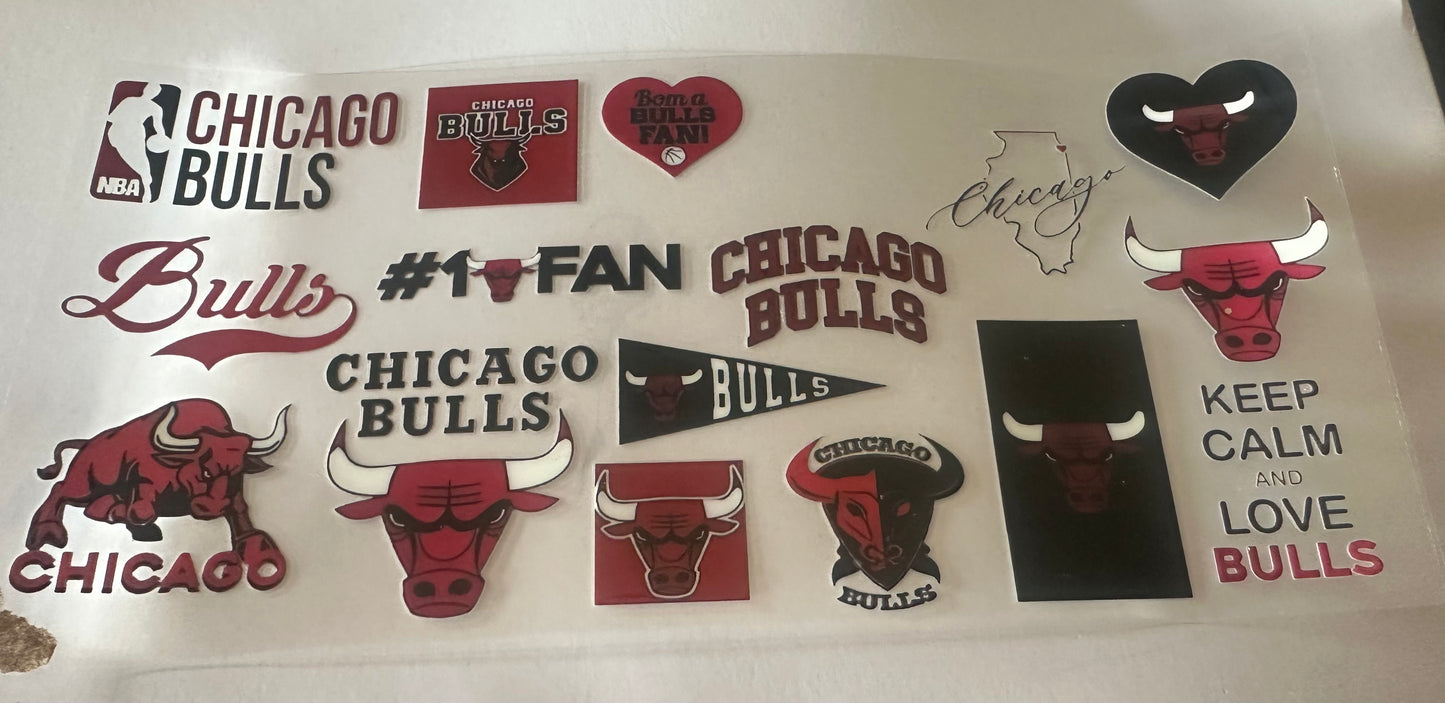 Chicago Bulls