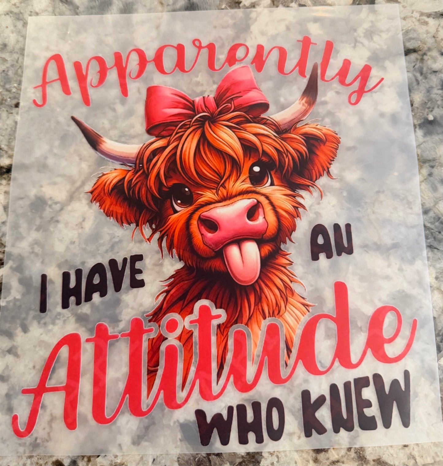 Apparently I have an attitude who knew