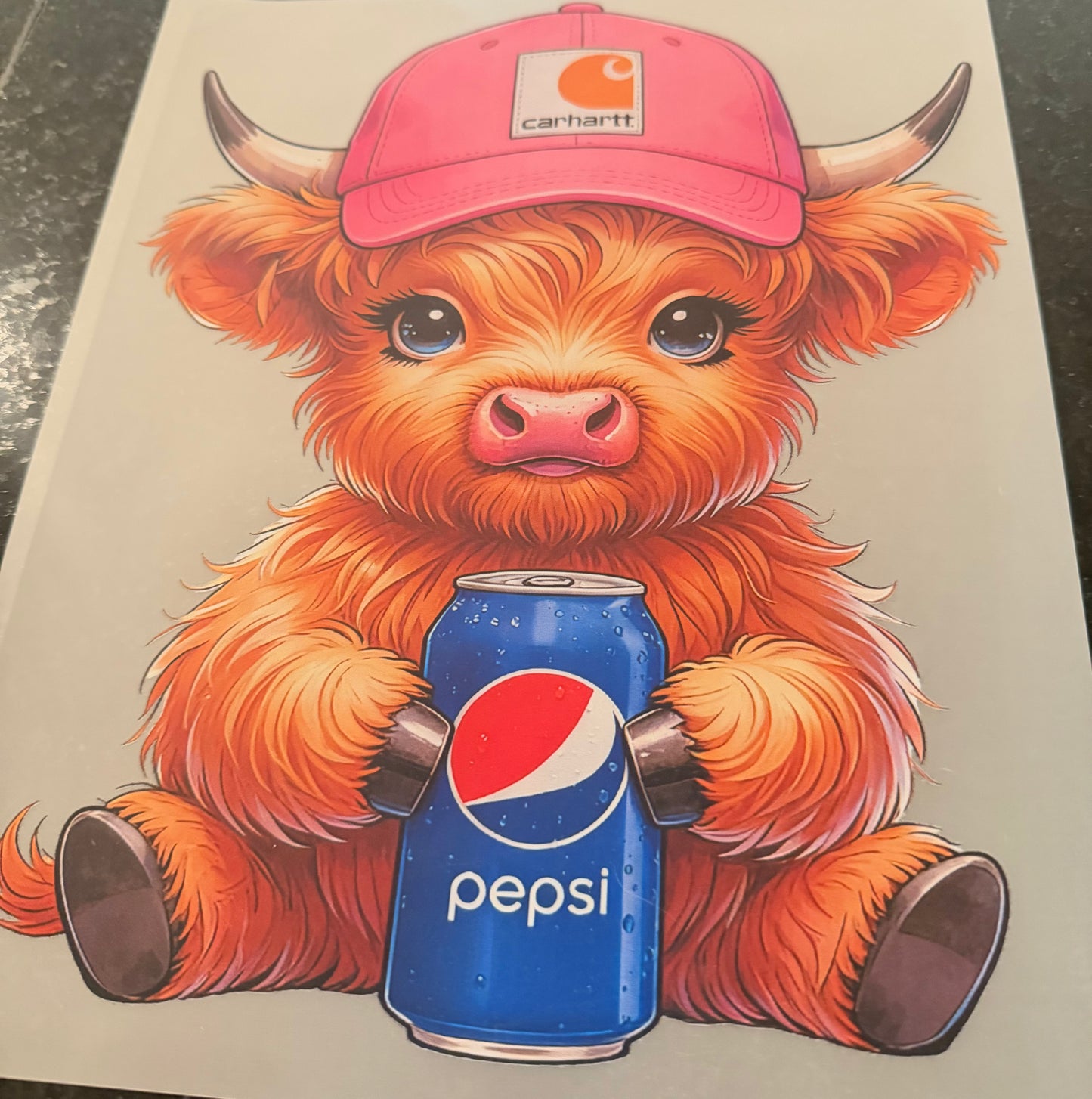 Pepsi highland cow