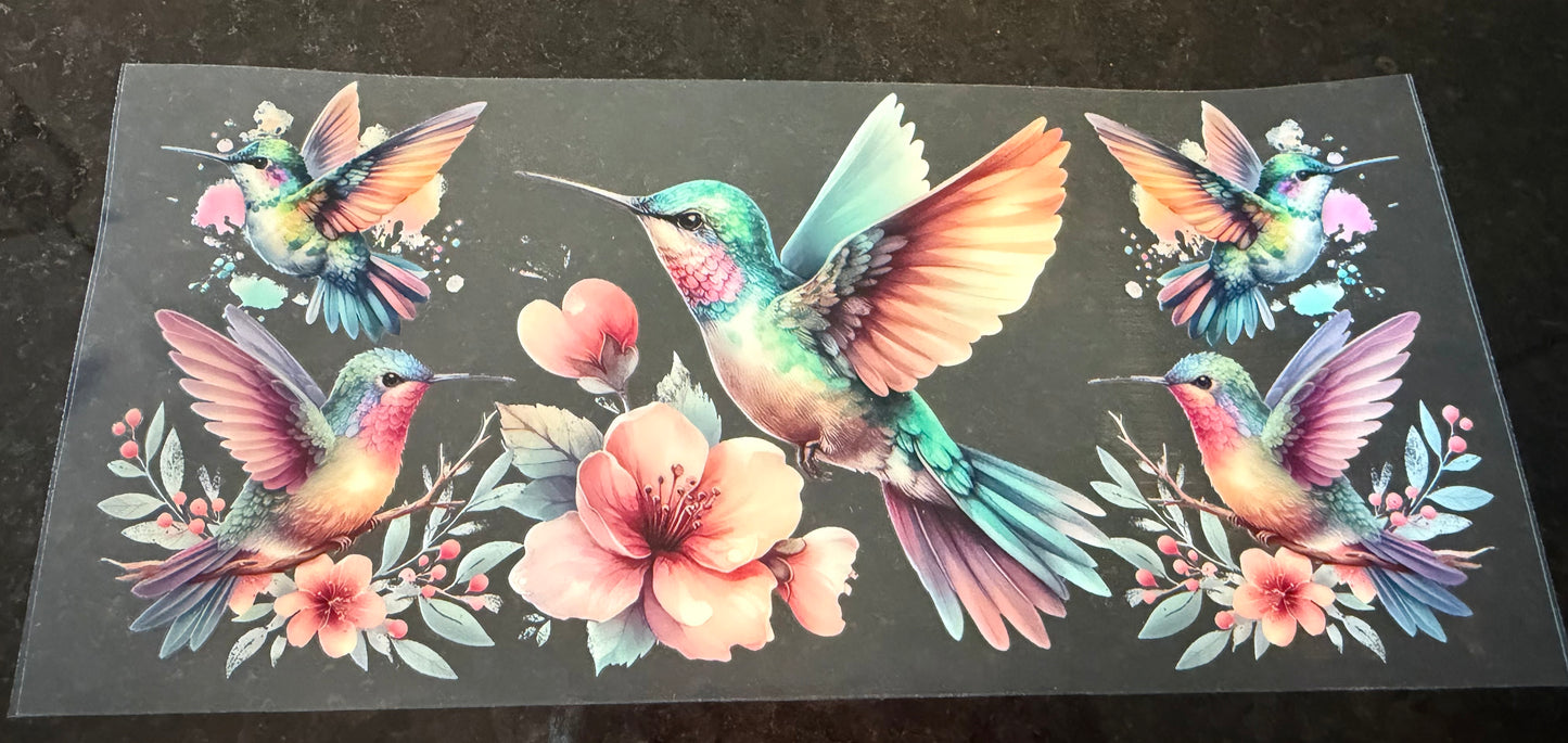 Humming birds 6