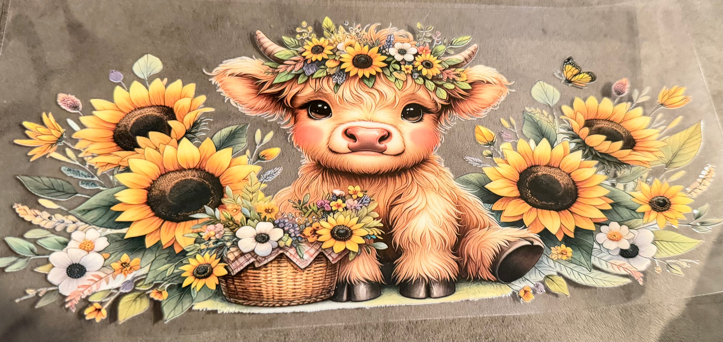 Cow sunflowers 5