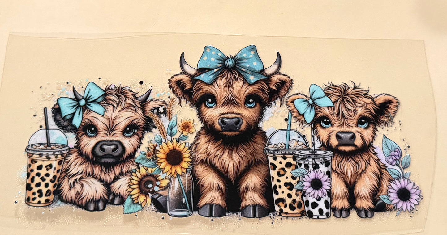Cows 27