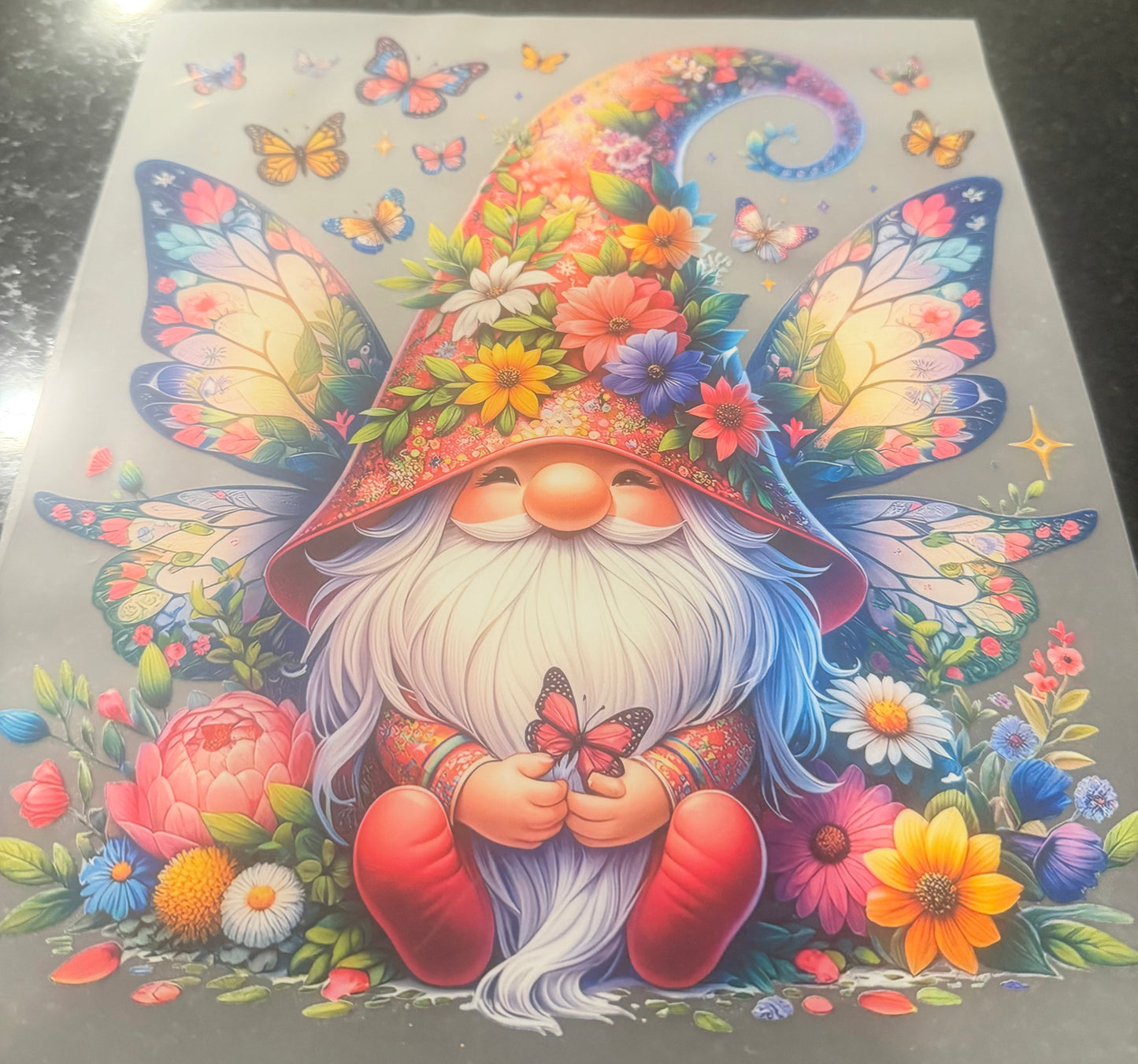 Gnome butterfly
