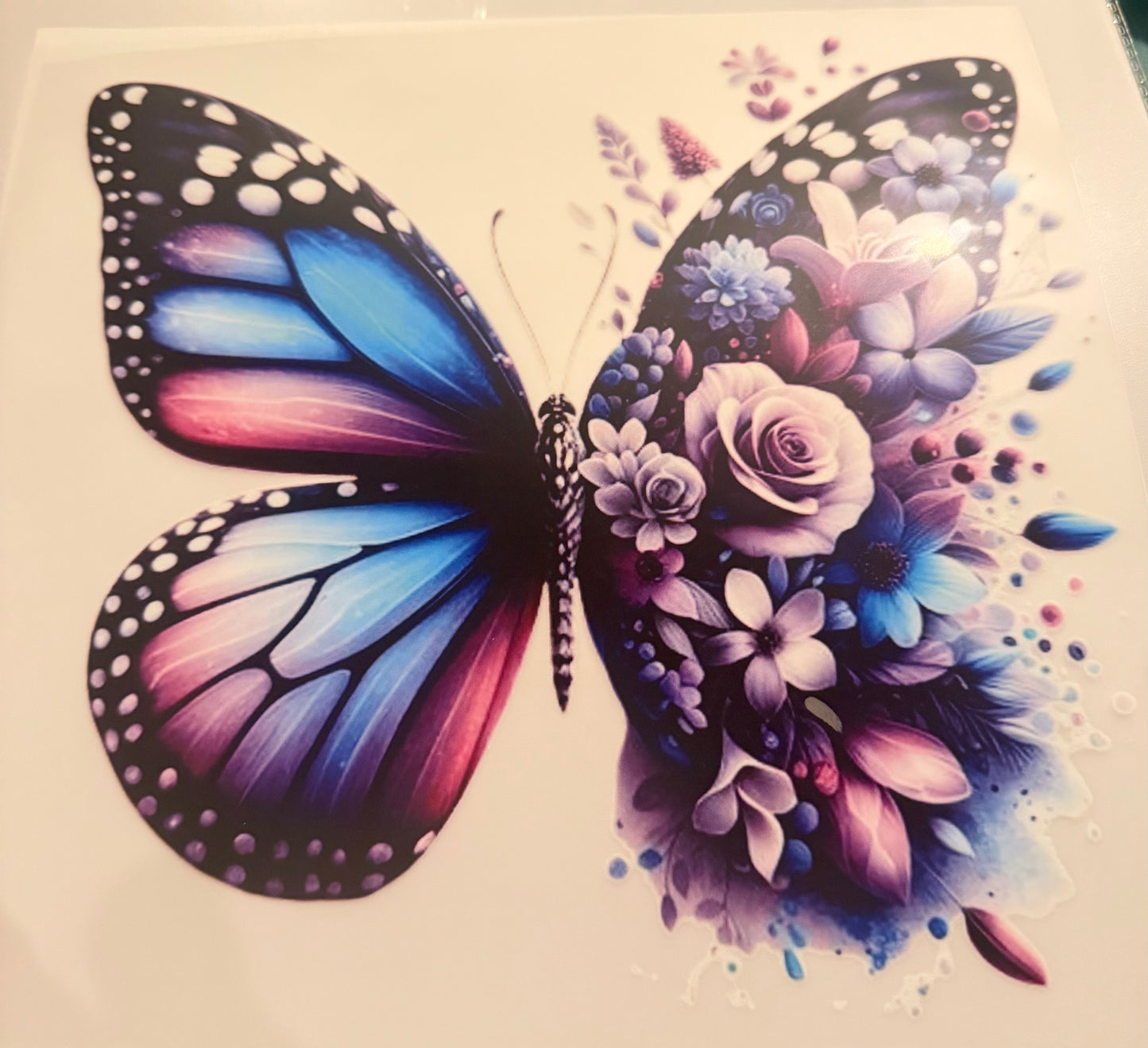 Butterfly transfer