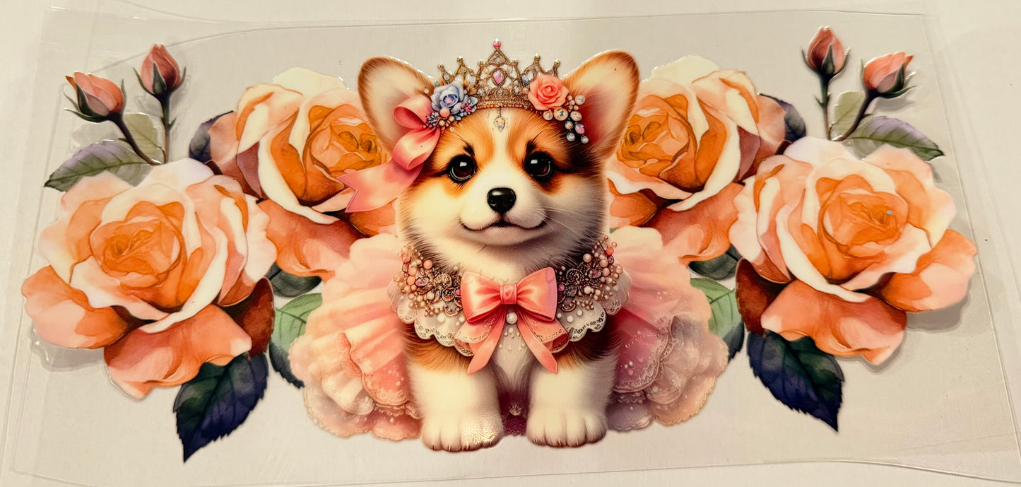 Corgi