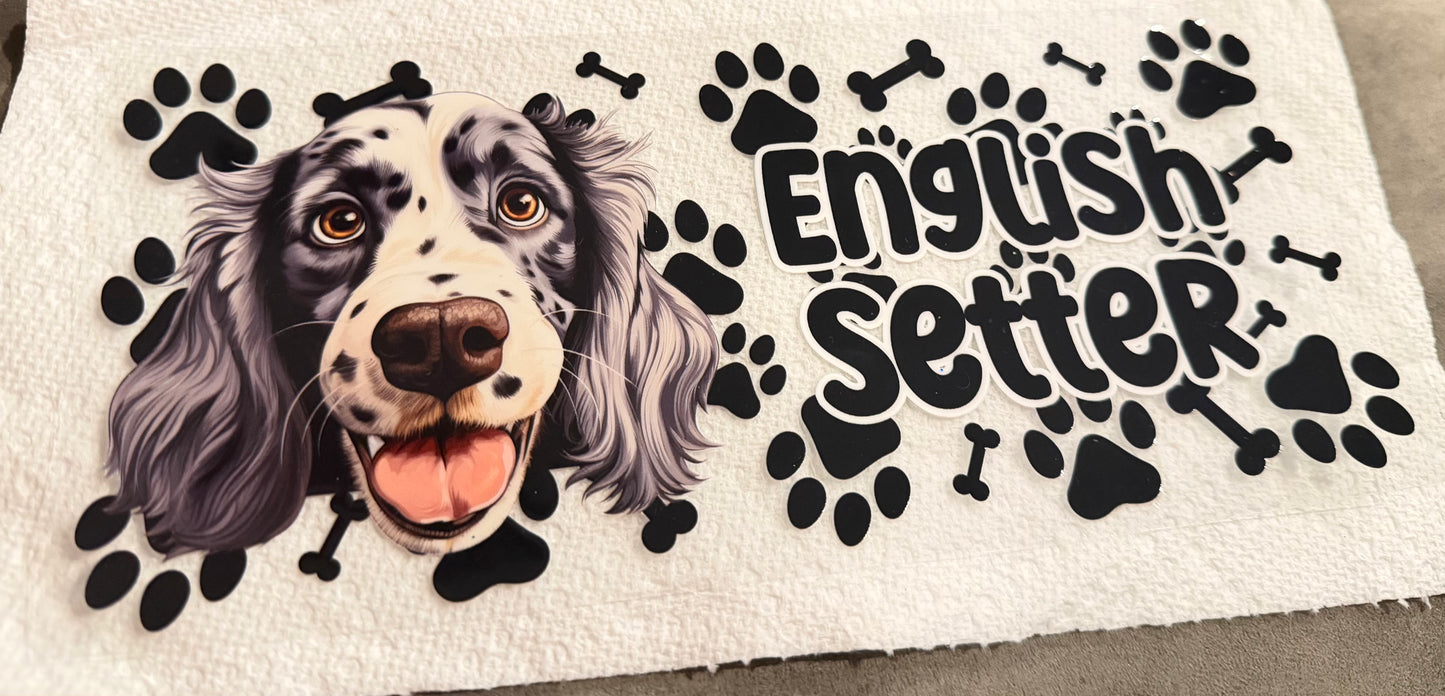 English setter