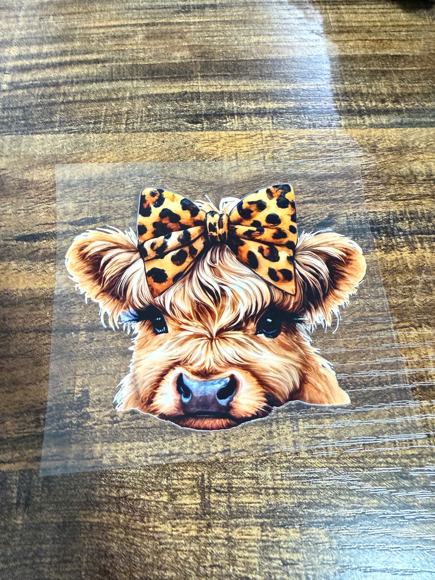 Leopard bow cow