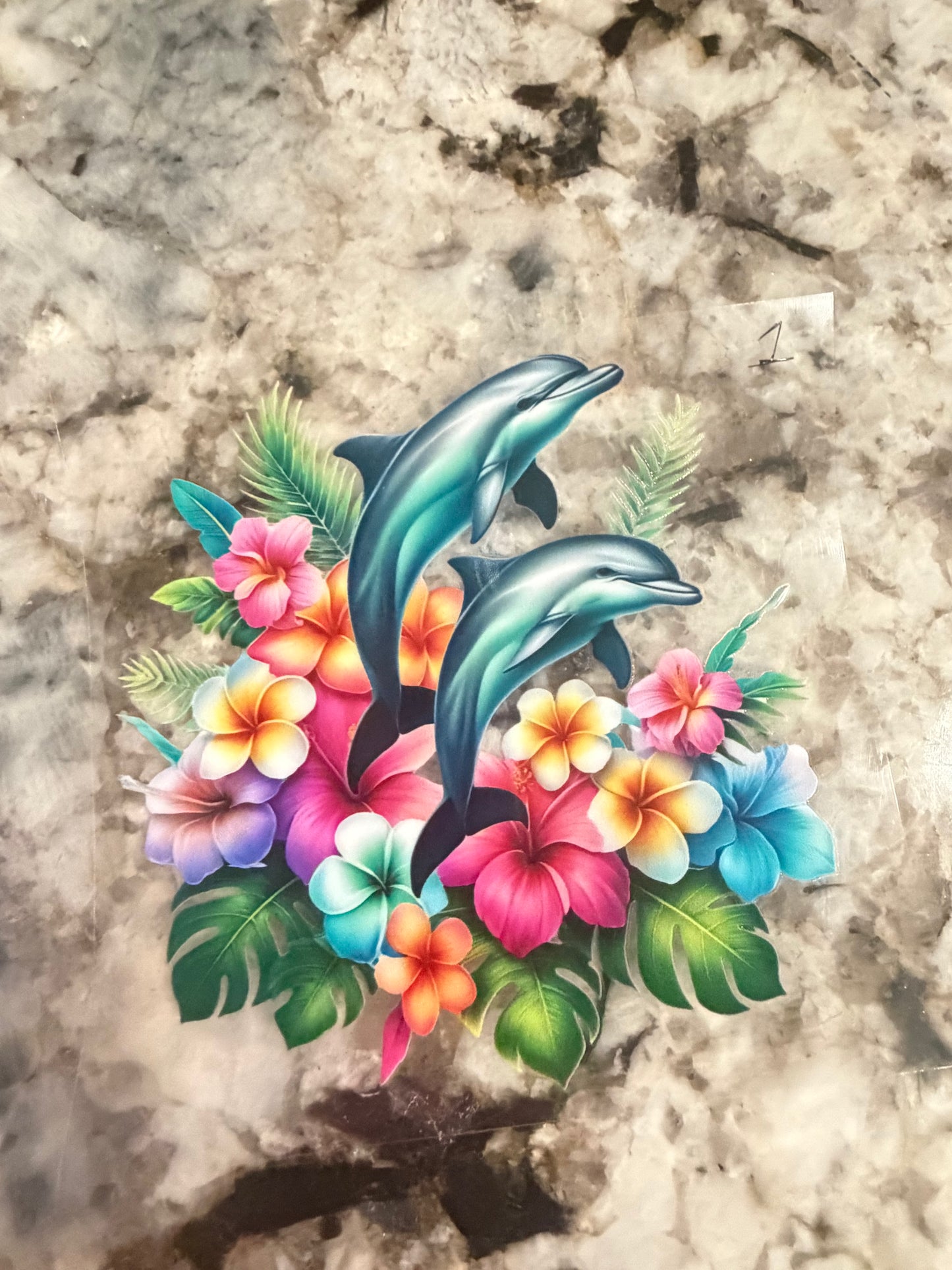 Dolphin 1