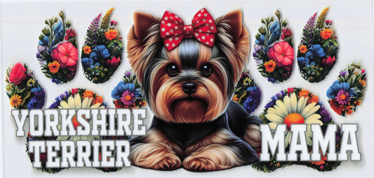 Yorkie mama