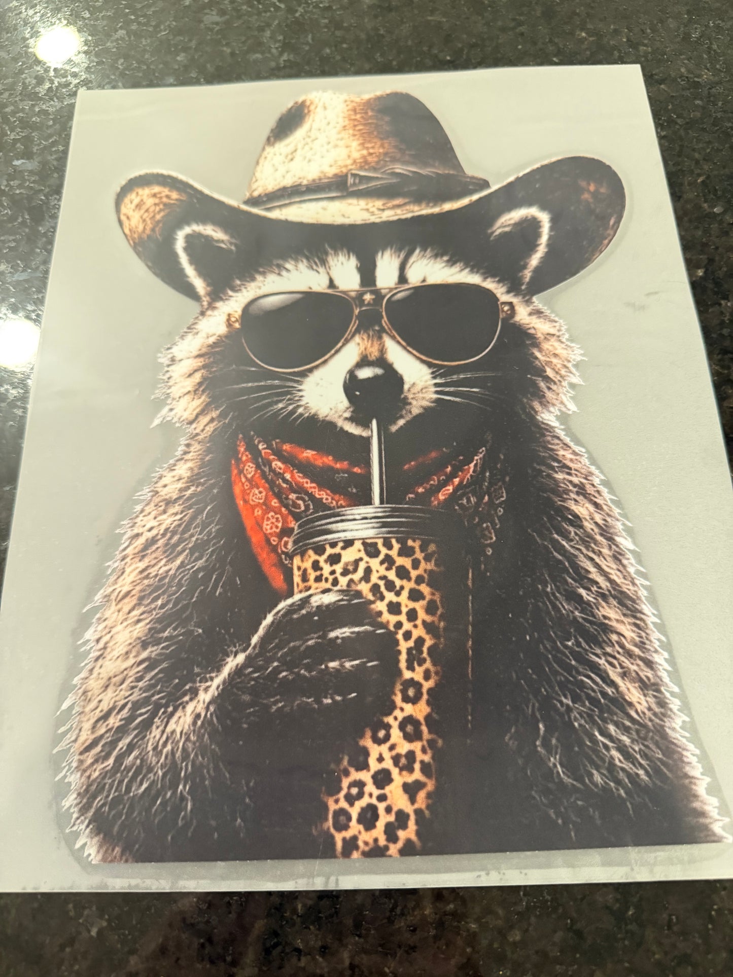 Western raccoon