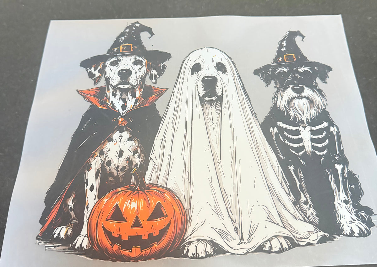 Puppy trick or treat