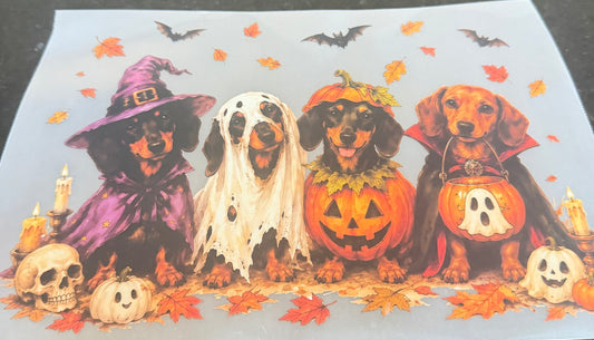Puppy Halloween