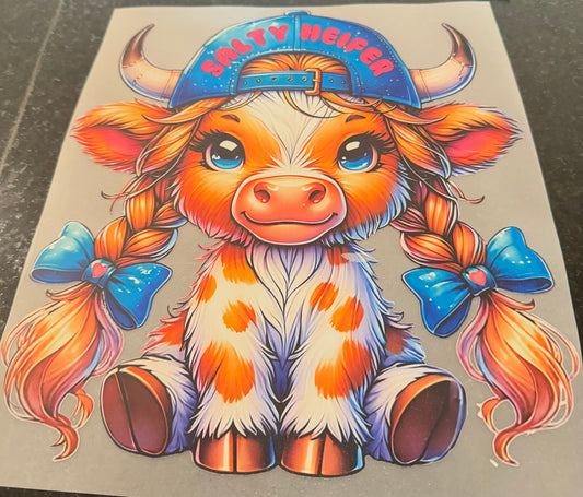 Salty Heifer