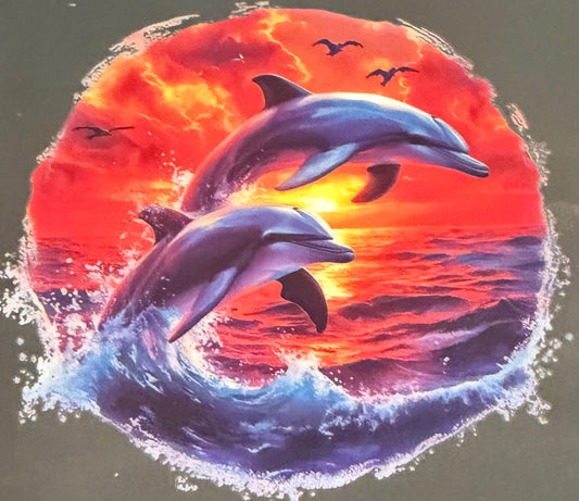 Dolphin 8