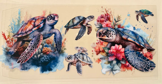 Sea turtle 4
