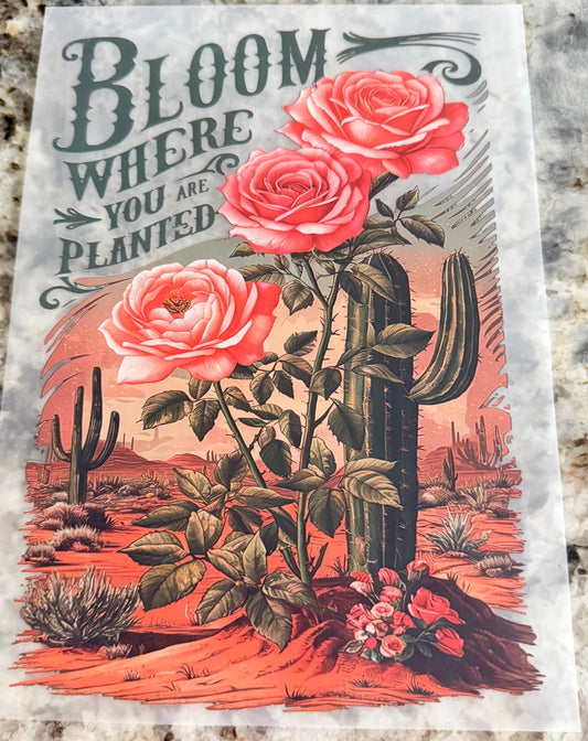 Bloom where you are planted
