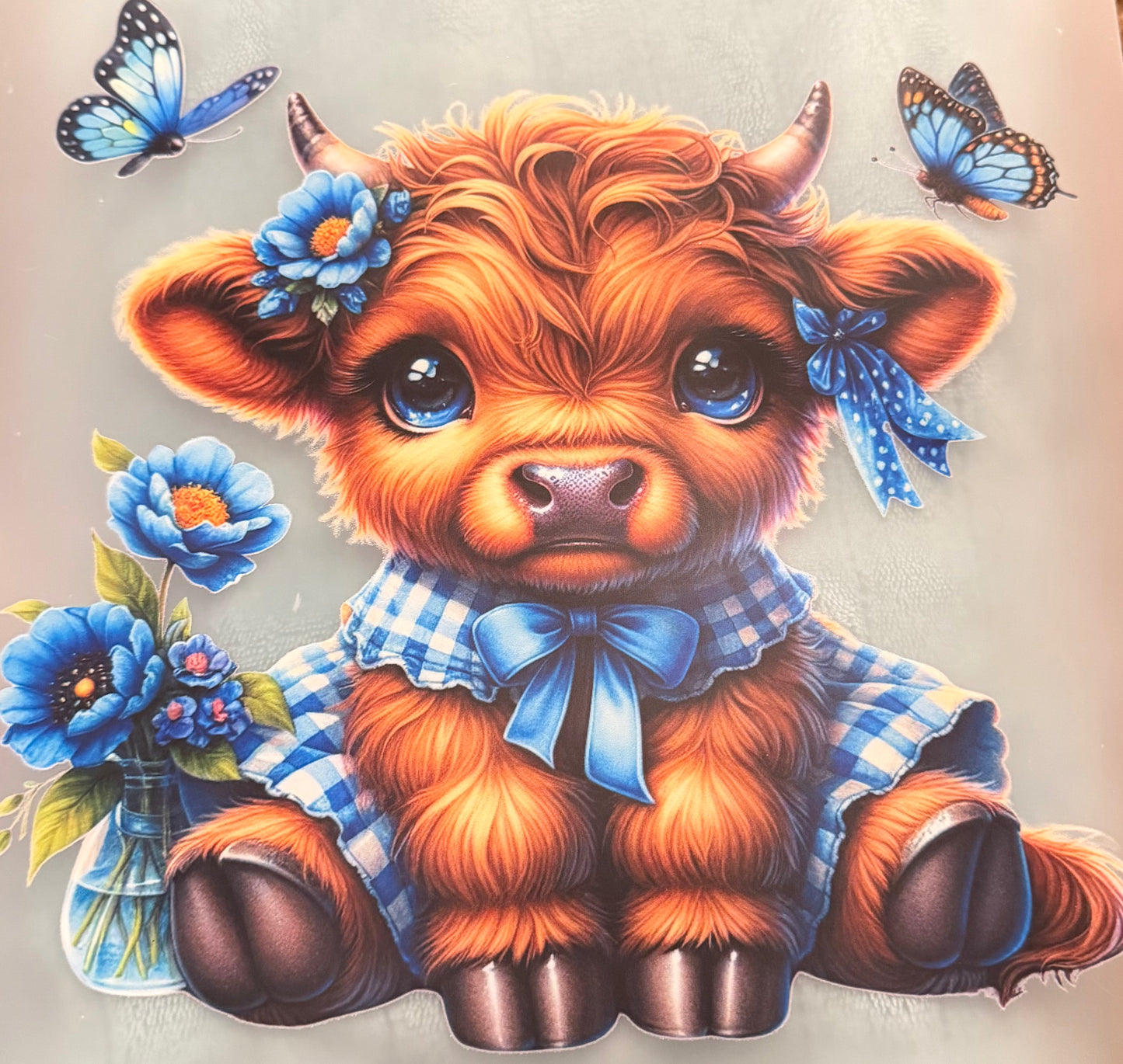 Cow blue