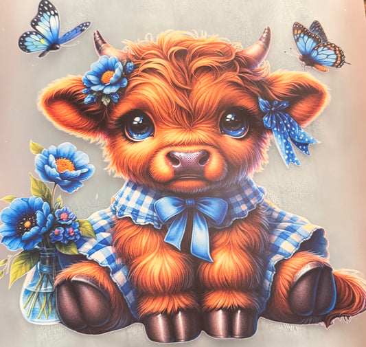 Cow blue