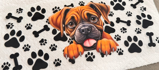 Boxer