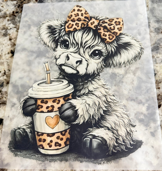 Cheetah cow