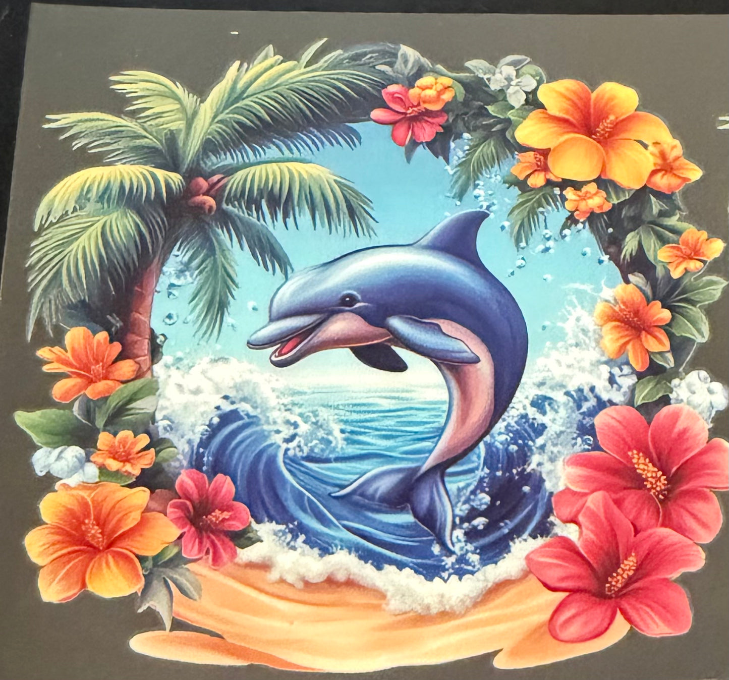 Dolphin 5