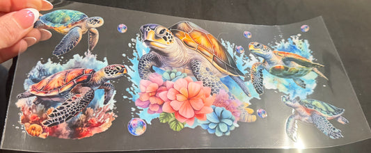 Sea turtle 6