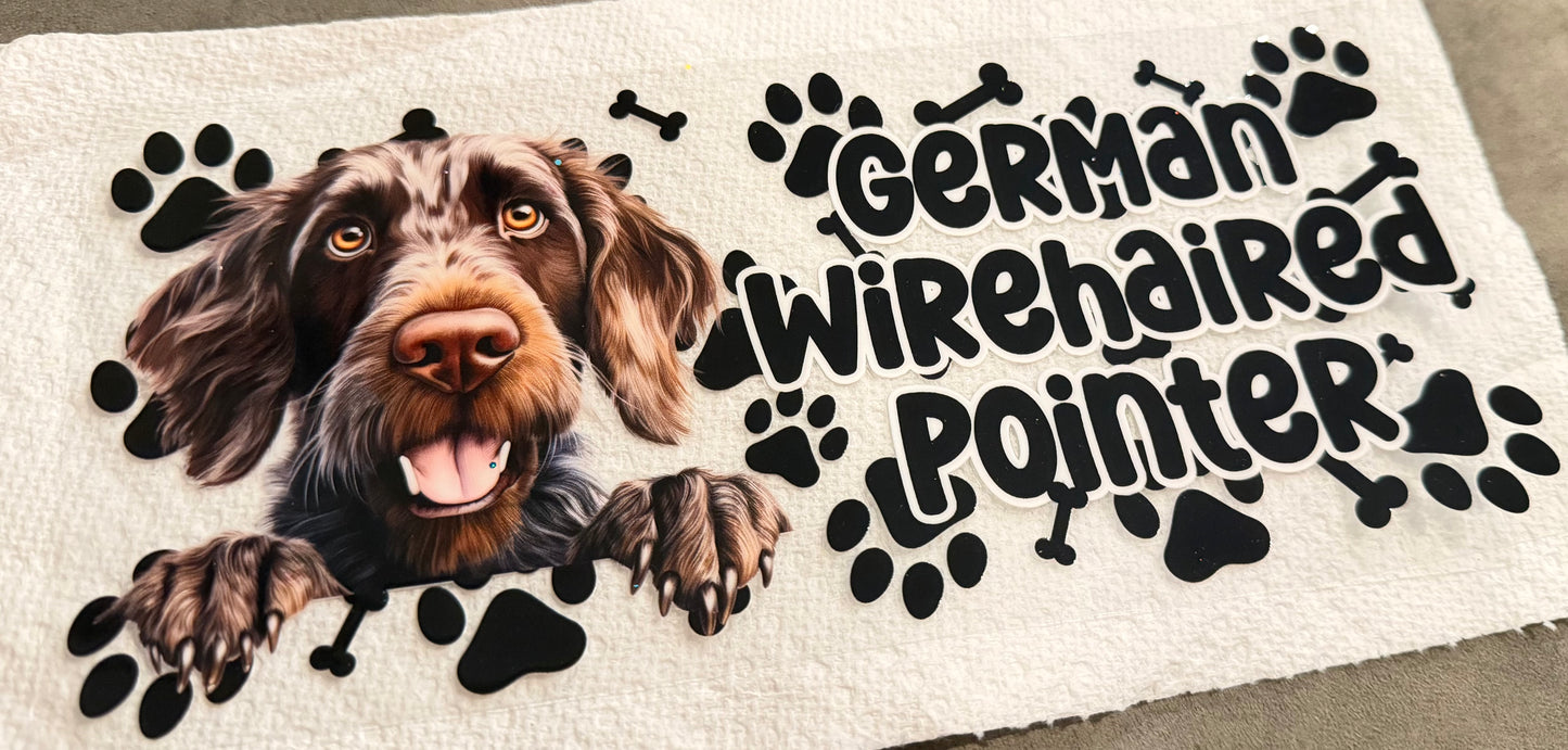 German wirehaired pointer