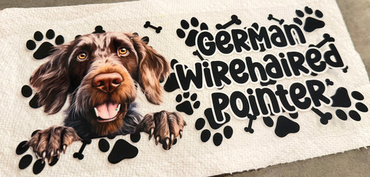 German wirehaired pointer