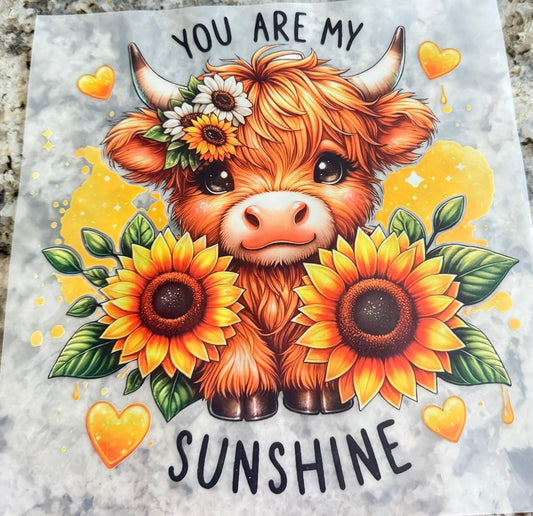You are my sunshine cow