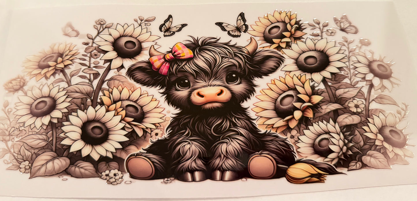 Cow sunflowers 17