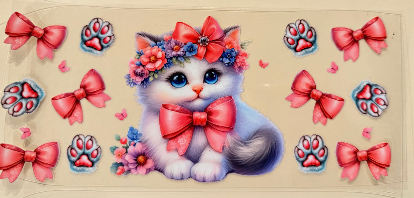 Kitten
