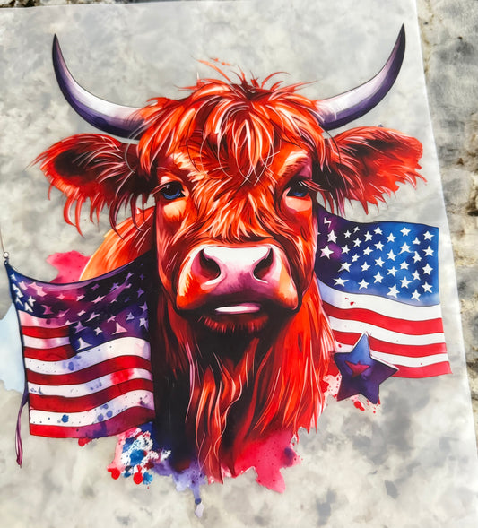 America cow