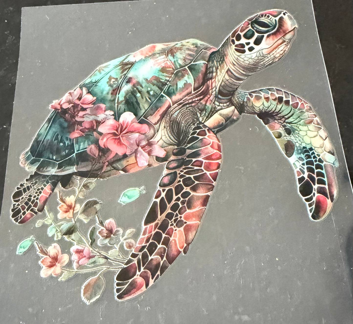 Sea turtle 17