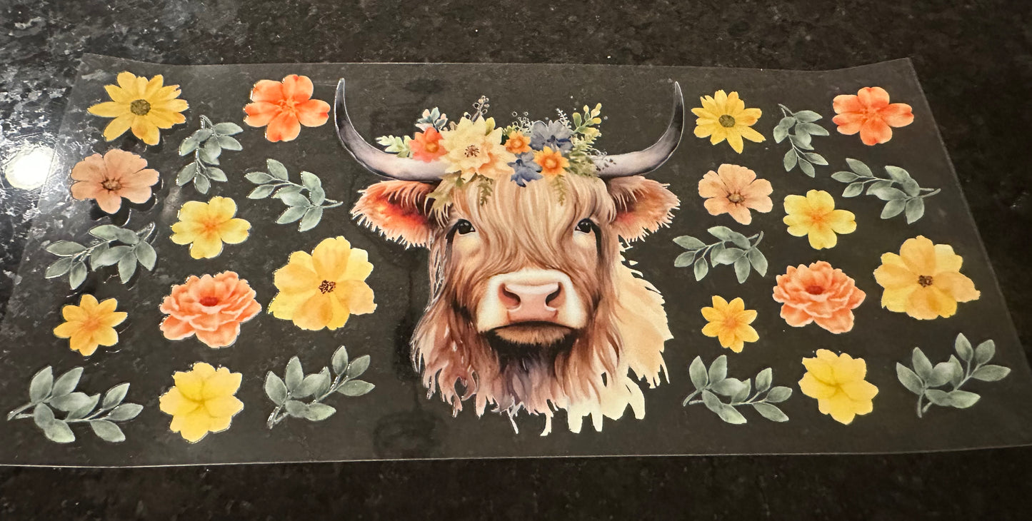 Highland cow