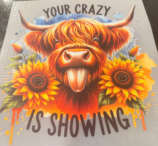 Your crazy is showing